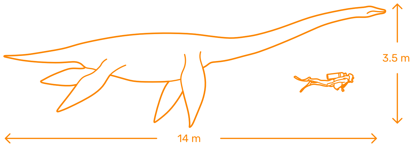 T-Rex