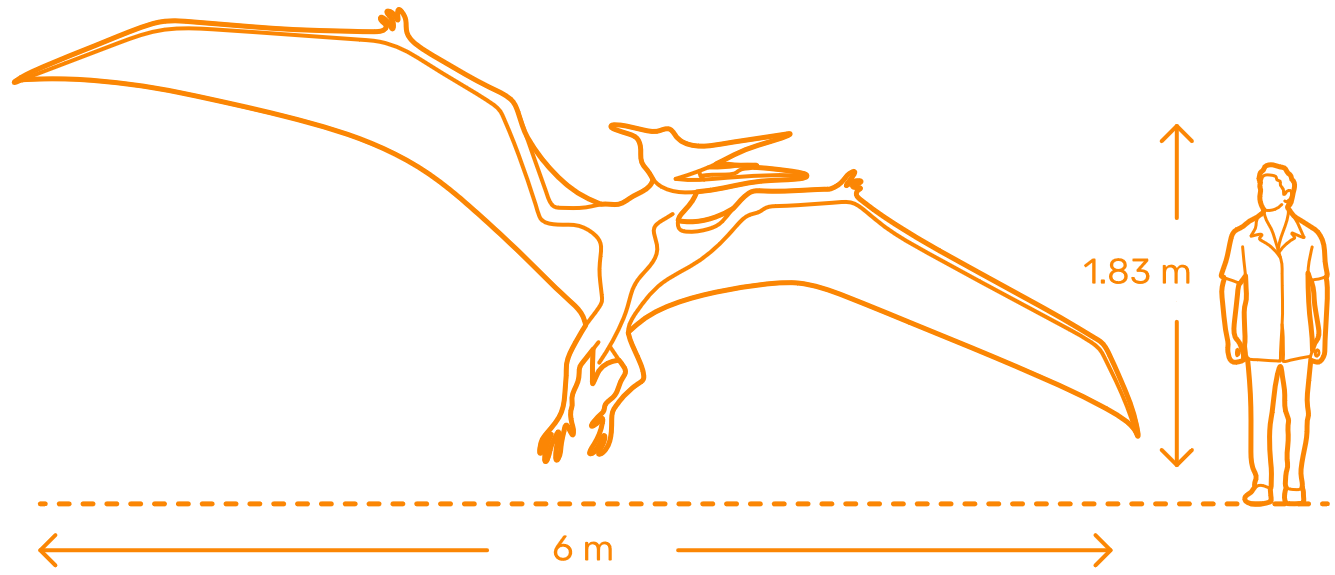 T-Rex